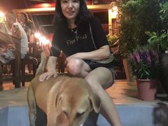 -Phensiri Thai Restaurant