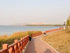 -丁香湖公园
