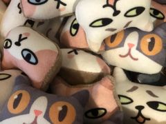 -猫咪博物馆(顶澳仔猫街店)