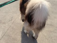 -江杨农产品批发市场