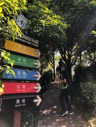-成都飞越丛林探险乐园(锦绣城园区)