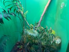 -上海大自然野生昆虫馆(东方明珠·爬宠昆虫探索中心)