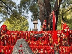 -大槐树寻根祭祖园