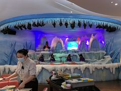 -帝企鹅自助餐厅•儿童岛•真企鹅(长隆企鹅酒店)