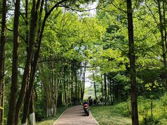 -桤木河湿地公园