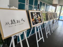 -太湖雪蚕桑文化园