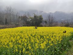 -樱桃山旅游景区