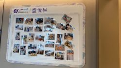 -杭州医学院附属妇儿医院