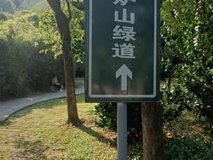 -火炉山森林公园