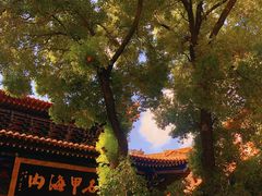 -宝通禅寺