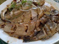 -添福来墨鱼饺子 · 海鲜东北菜(大连星海·黄浦路店)