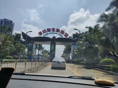-深圳野生动物园