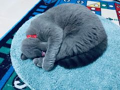 -KKV(深圳宏发大仟里店)