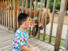 -北京鹿世界主题园