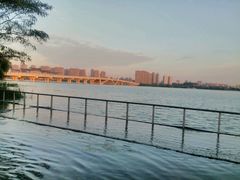 -蠡湖大桥公园