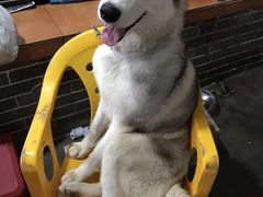-荔枝红五号农庄