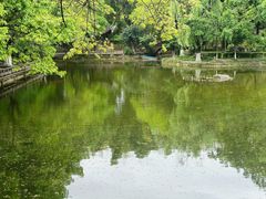 -望江楼公园