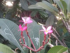 -厦门日月谷温泉渡假村