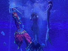 -石家庄极地海洋世界