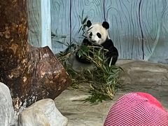 -海南热带野生动植物园