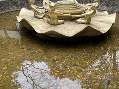 -杭州黄龙洞