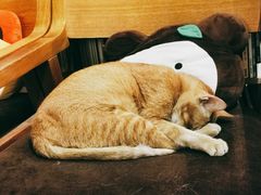 -默迹咖啡馆