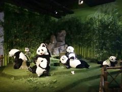-成都泰迪熊博物馆