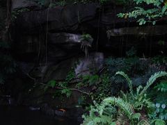-燕晗山郊野公园