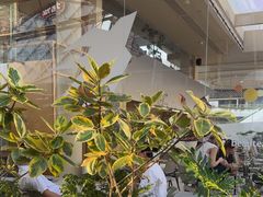 -BeauTea水仙(coco park店)