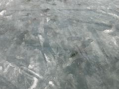 -沈阳奥体冰雪嘉年华