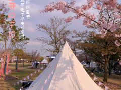 -上海辰山植物园