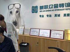 -美联众合动物医院·24h转诊中心