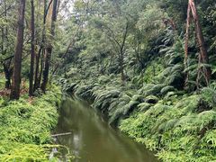 -李小龙乐园(顺德均安店)