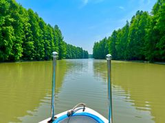 -上海海湾国家森林公园