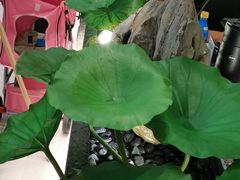 -新辣道鱼火锅(航天万源店)