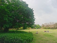 -东莞植物园