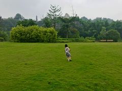 -张坝桂圆林公园