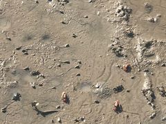 -北海金海湾红树林生态旅游区