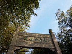 -紫金山天文台