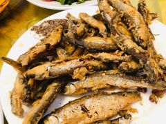-燕北云山·农家菜·灶台鱼(密云溪翁庄店)