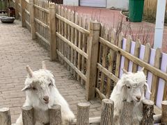 -水上乐园·欢乐世界