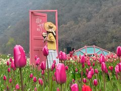 -河南宝泉旅游区