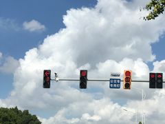 -阿男野栗王(金门路店)