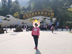 -西双版纳原始森林公园