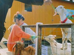 -前小桔亲子创意农场·草莓采摘·露营烧烤