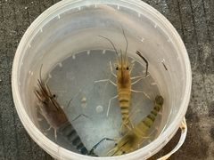 -粮心小农·大头虾亲子生态园(长发店)