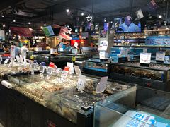 海鲜池-盒马鲜生(曜一城店)
