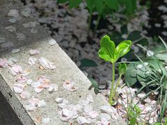 -西武百货(涩谷店)