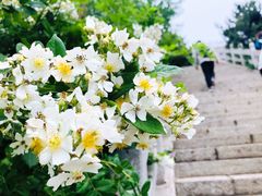 -天津盘山风景名胜区