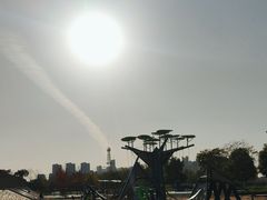 -上海山野camping·户外天幕烧烤·团建拓展营地